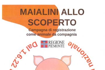 Campagna di registrazione per i maialini da compagnia